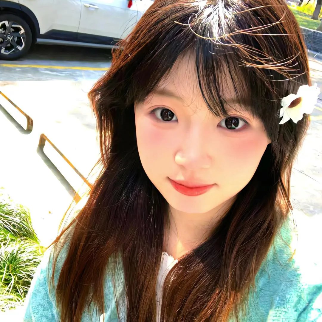 白鹭